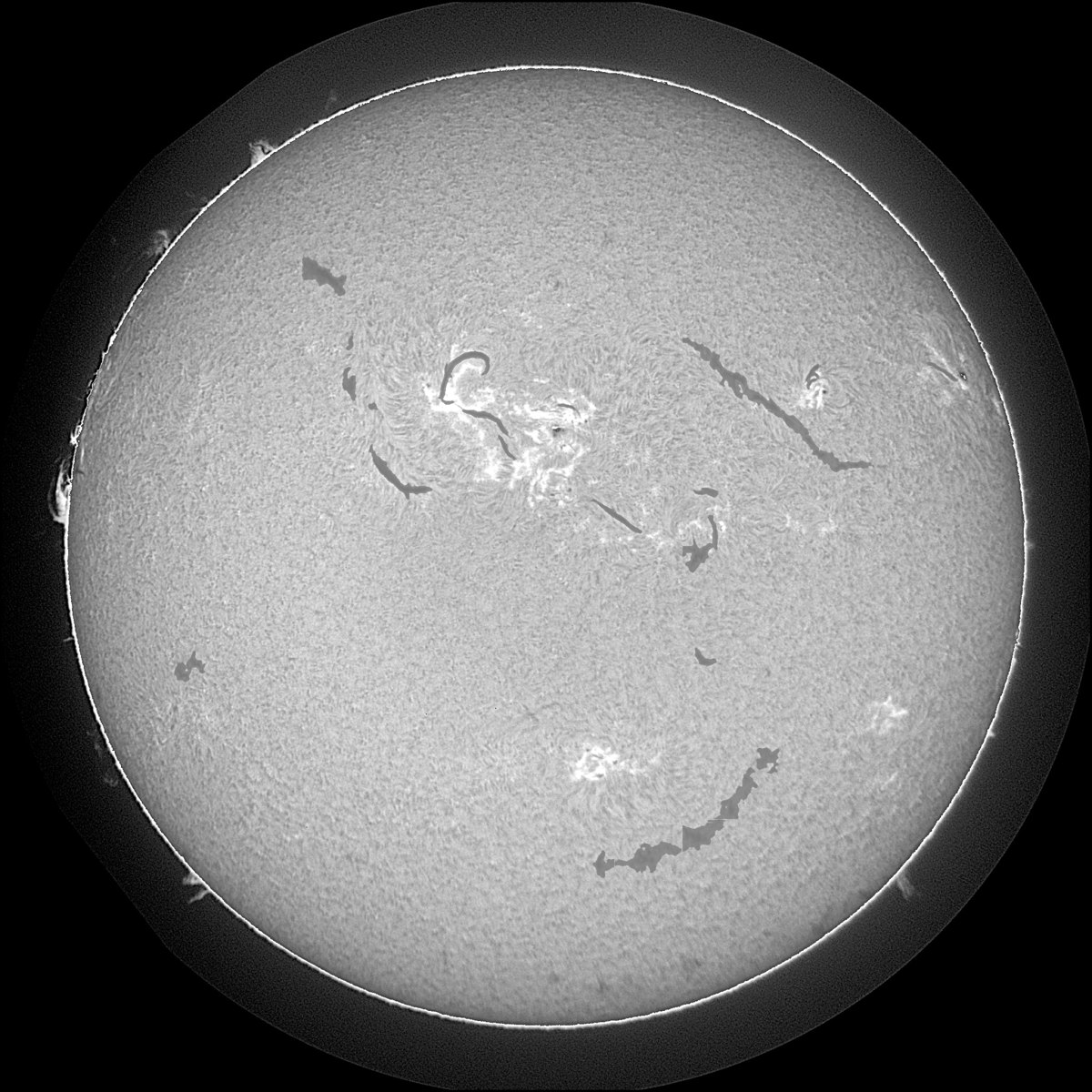 Solar Filament Segmentation